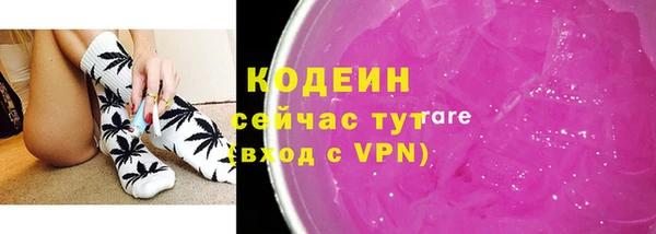 гидра Арсеньев