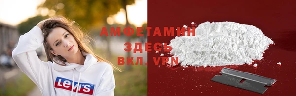 гидра Арсеньев