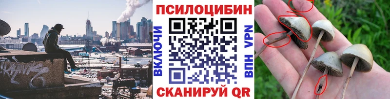 Псилоцибиновые грибы прущие грибы как найти закладки Тейково